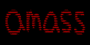 OWASP Amass logo